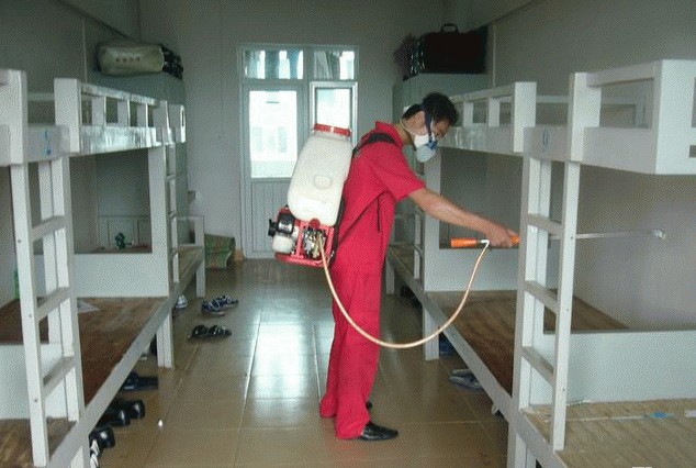 深圳殺蟲公司廠房宿舍殺蟲