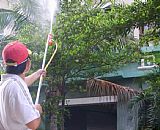 深圳殺蟲(chóng)公司蚊蟲(chóng)消殺