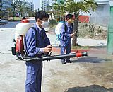 深圳殺蟲(chóng)公司消殺害蟲(chóng)現(xiàn)場(chǎng)