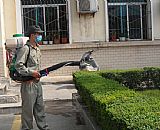 深圳殺蟲(chóng)公司小區(qū)消殺現(xiàn)場(chǎng)