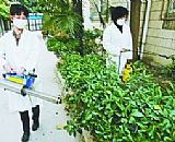 深圳殺蟲(chóng)公司消殺施工現(xiàn)場(chǎng)